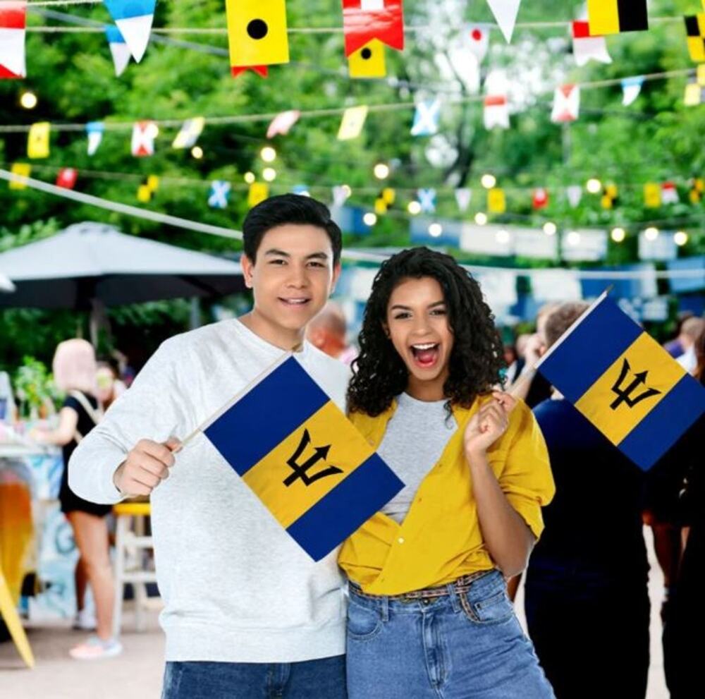 Barbados 12" x 18" Stick Flags – Perfect for Events – Sold by the Dozen - New